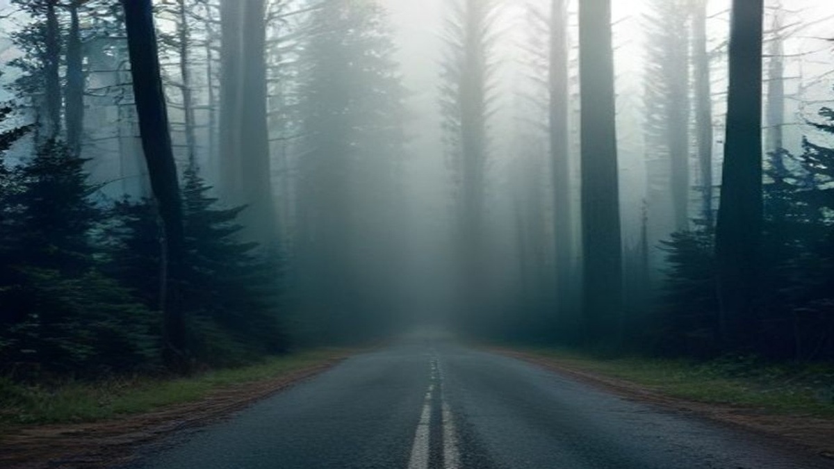 Razor-wire border fence beside a misty pine forest and empty road under overcast Baltic sky